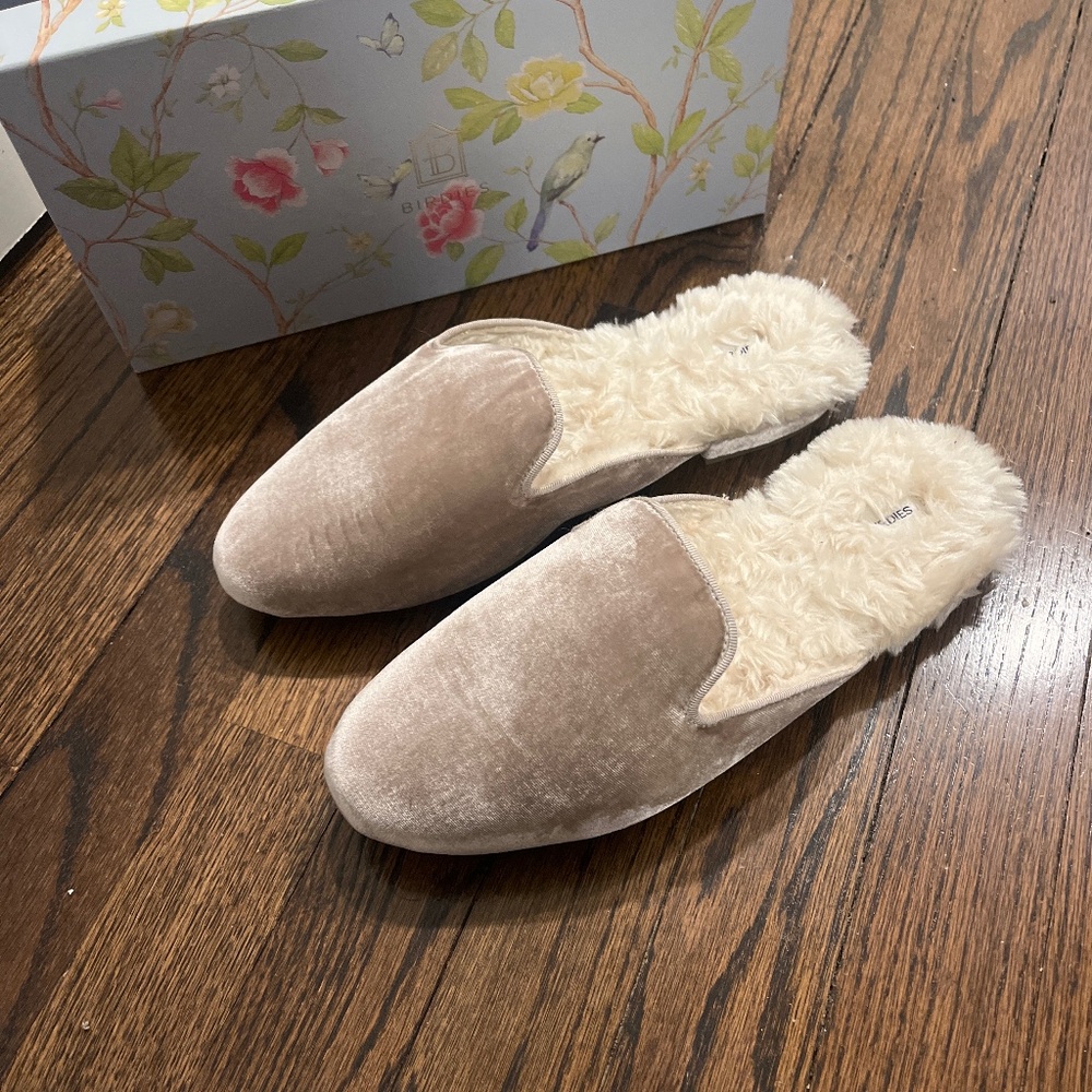 Birdies phoebe slip on